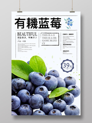 浅色大气有机蓝莓海报有机水果